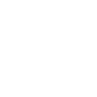 Spark icon