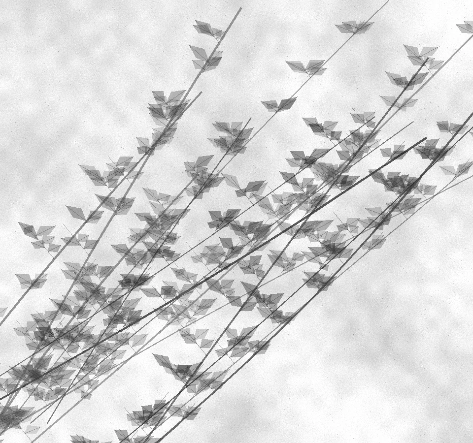 An original monochrome botanical etching of branching stems and leaves